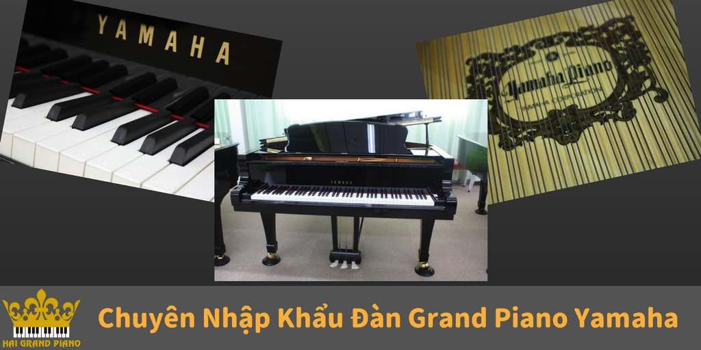 grand-pian-yamaha-hai-grand