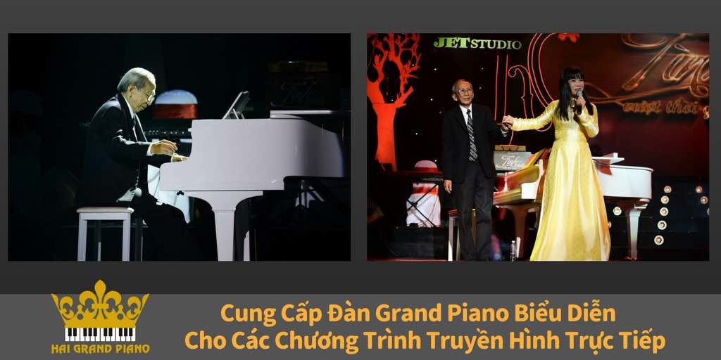 hai-grand-piano-truyen-hinh-2