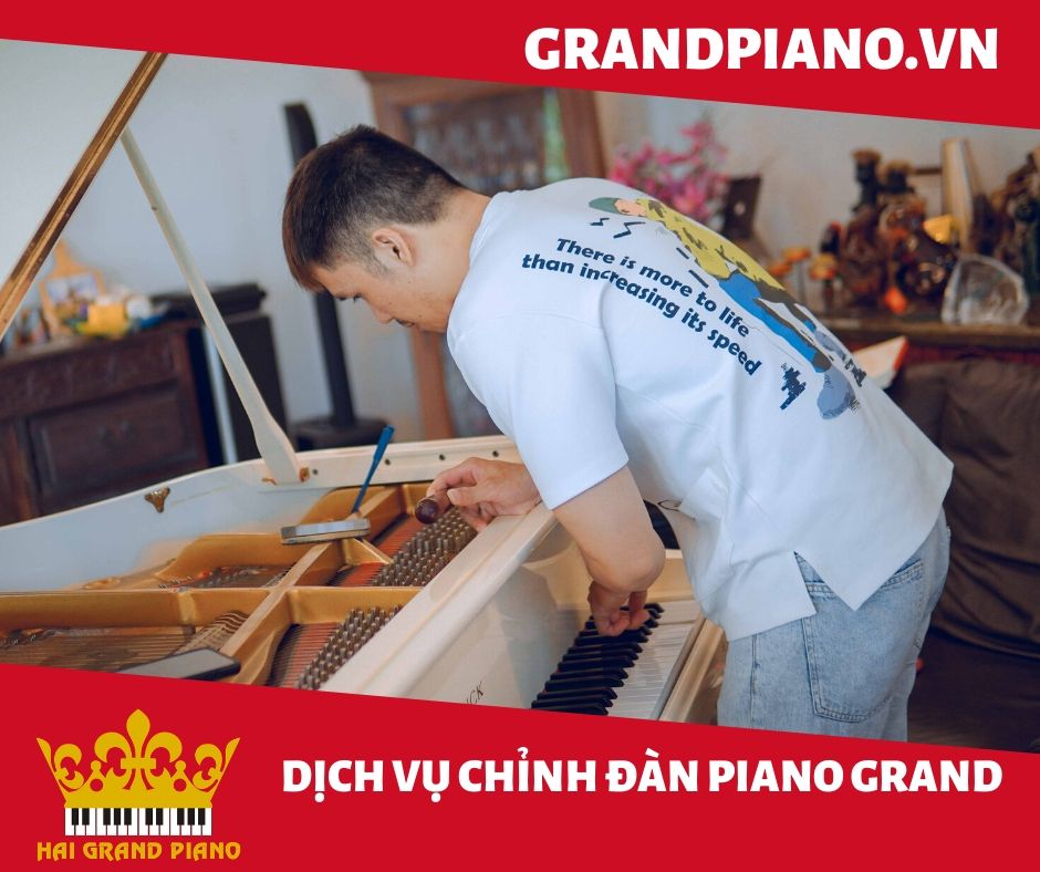 CHỈNH DÂY ĐÀN PIANO | QUẬN BÌNH THẠNH 