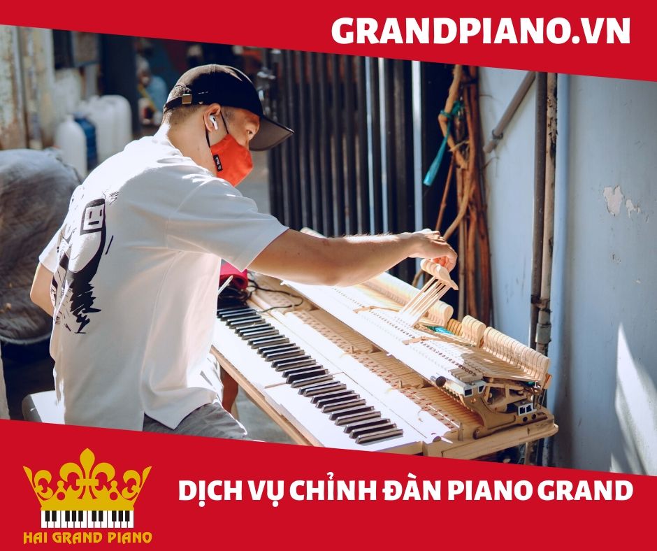 BẢO DƯỠNG MÁY ĐÀN GRAND PIANO