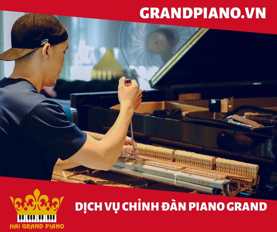 LÊN DÂY ĐÀN PIANO GRAND | QUẬN 2 