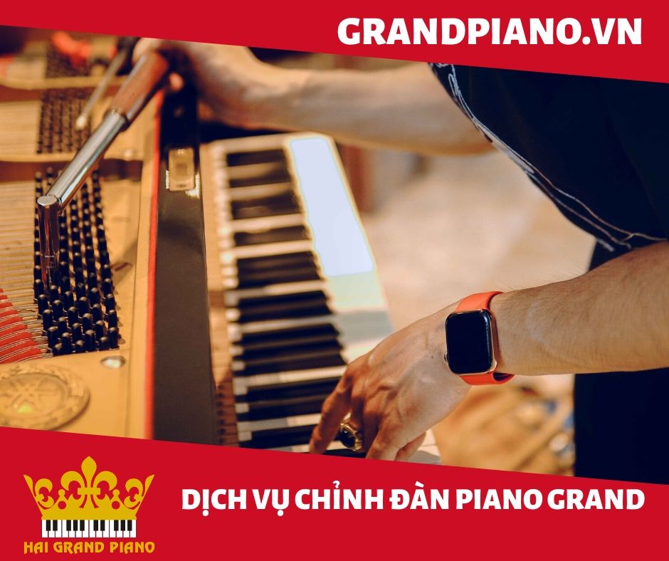 bao-duong-dan-grand-piano-2