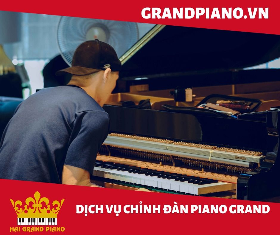 bao-duong-dan-grand-piano-4