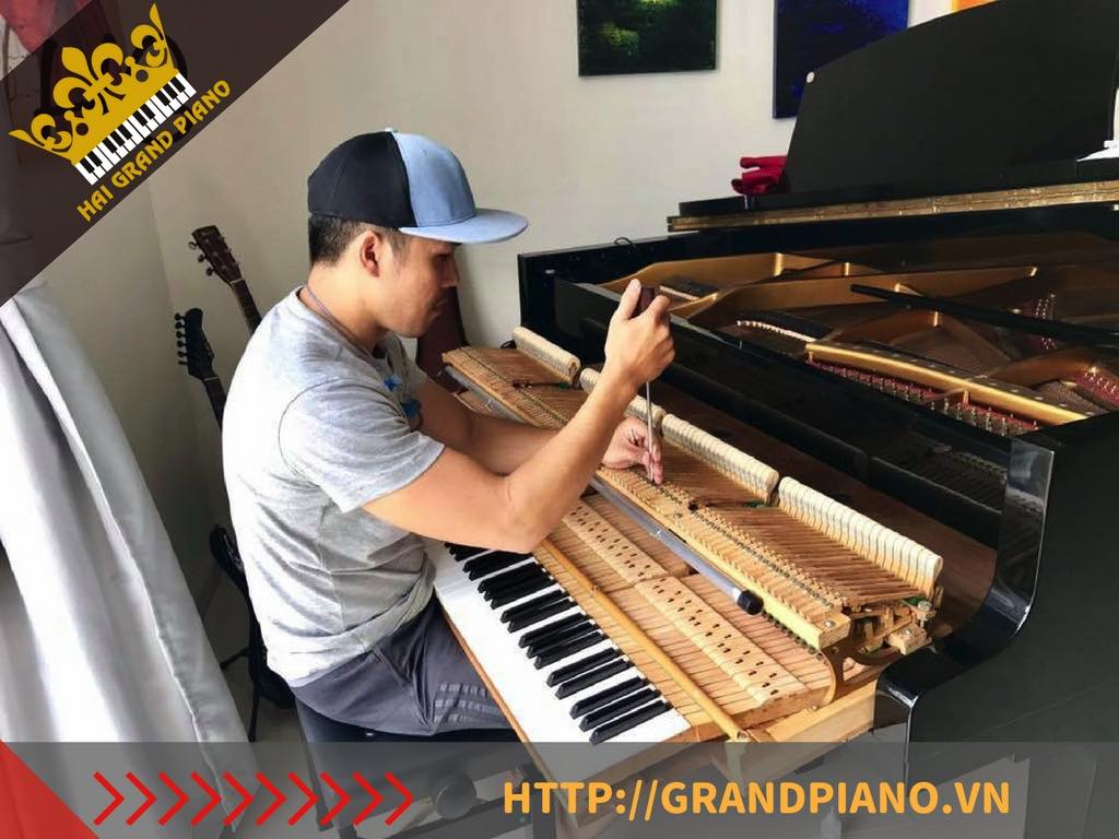 len day dan piano