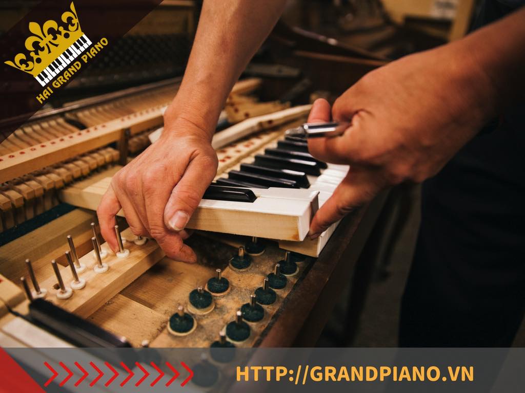 SỬA CHỮA ĐÀN GRAND PIANO 