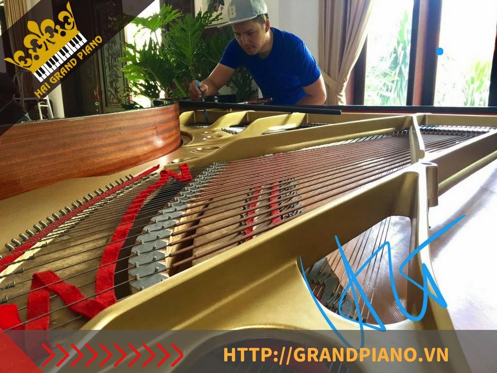 SUA CHUA DAN PIANO_004