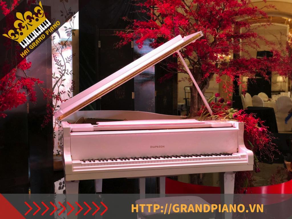 CHO THUÊ ĐÀN GRAND PIANO