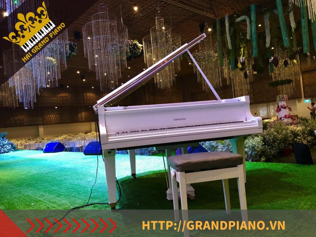 CHO THUE DAN PIANO_006