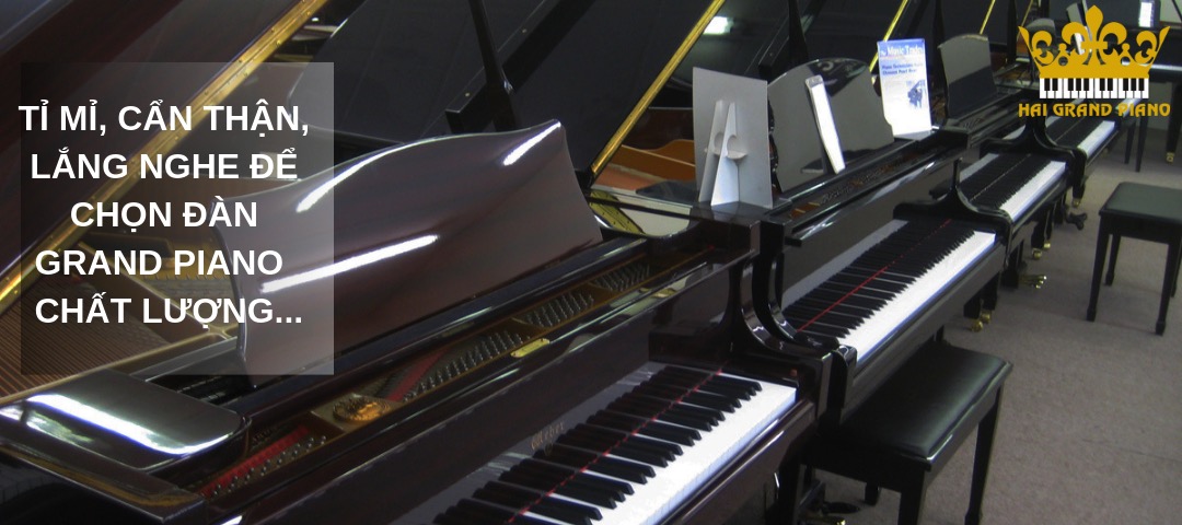 KHACH-HANG-GRAND-PIANO-2