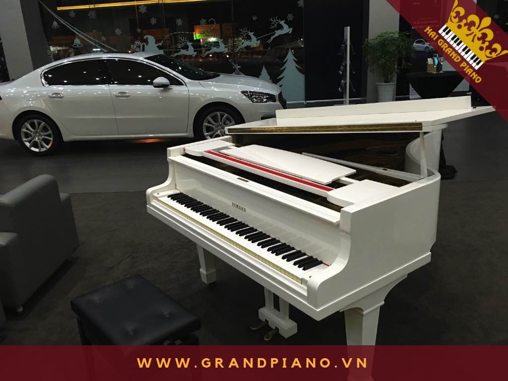 KHÔNG GIAN ĐỂ ĐÀN GRAND PIANO YAMAHA WHITE | SHOWROOM OTO 