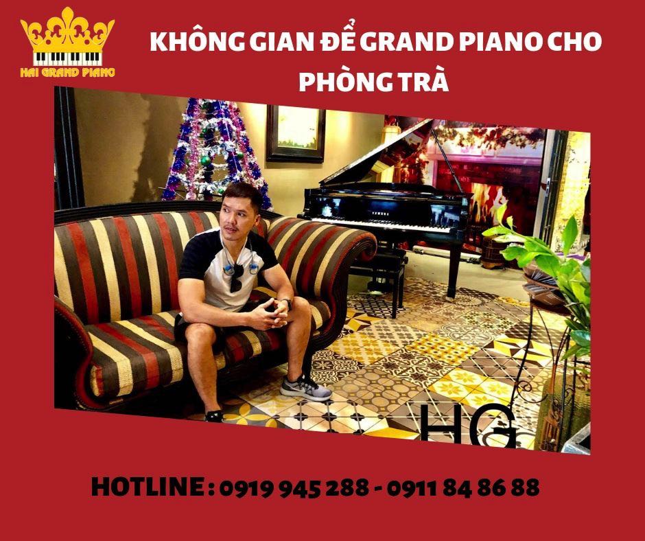 grand-piano-phong-tra-tphcm