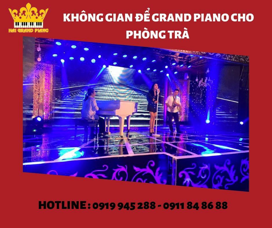 grand-piano-phong-tra-tphcm_005