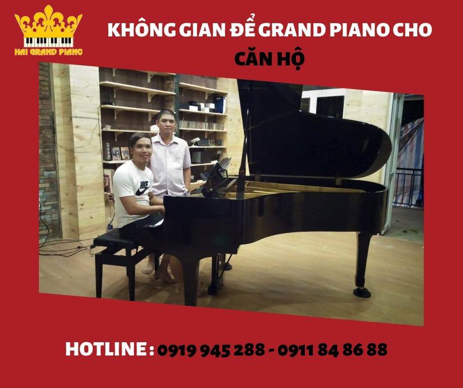 KHÔNG GIAN ĐỂ ĐÀN GRAND PIANO CHO CĂN HỘ