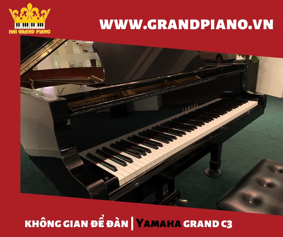 grand-c3-yamaha_001