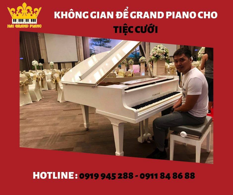 khong-gian-piano-tiec-cuoi_008