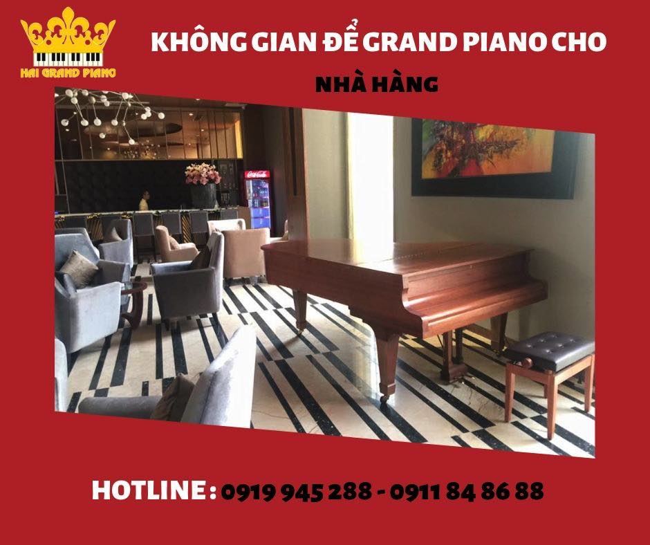 GRAND-PIANO-CHO-NHA-HANG_001