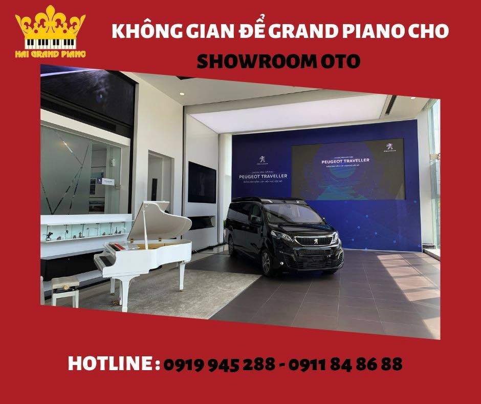 KHÔNG GIAN ĐỂ ĐÀN GRAND PIANO CHO SHOWROOM OTO