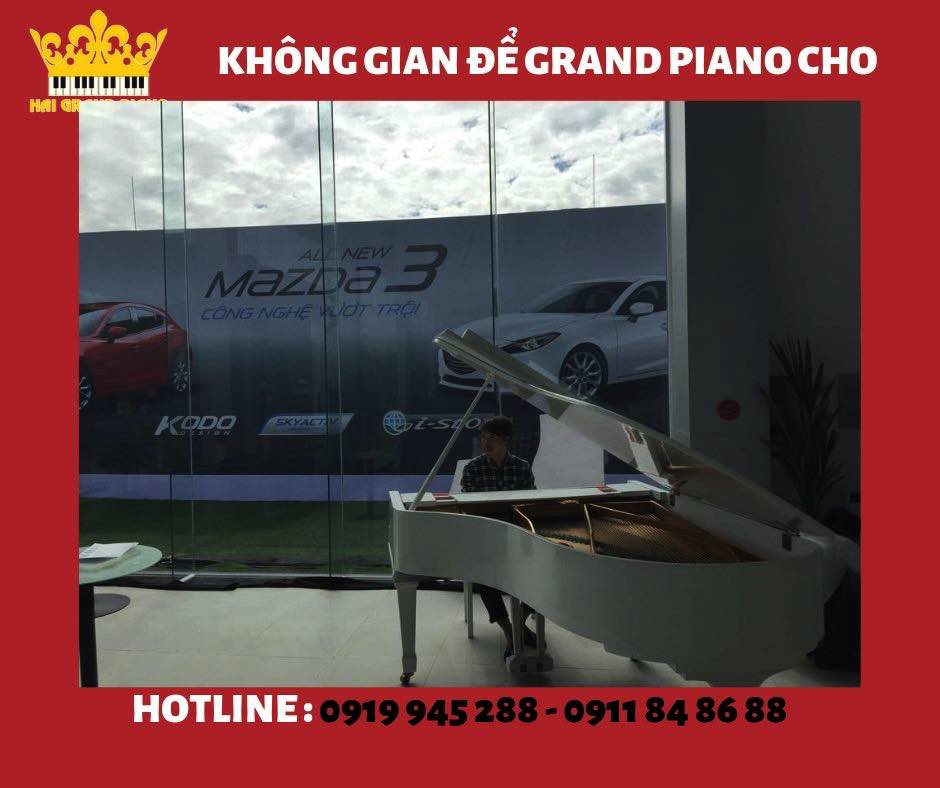 khong-gian-piano-showroom-oto_003