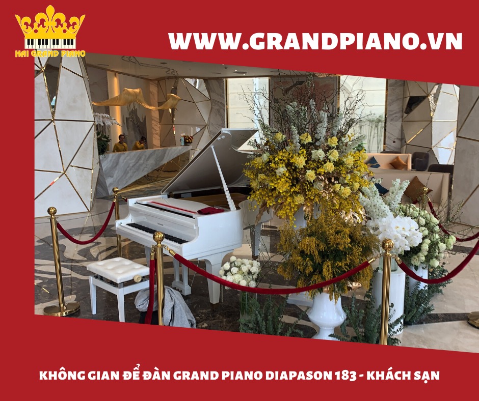grand piano diapson 183