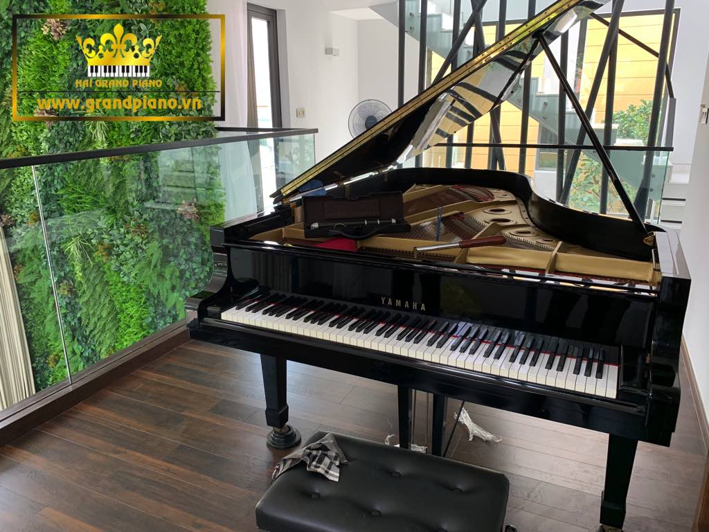 Grand Piano Yamaha C7B | Hồng Giang | Q.2