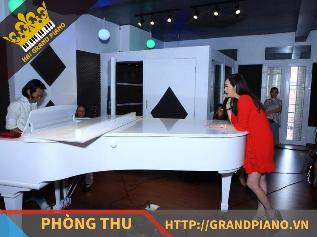 hai-grand-piano-nghe-si-13