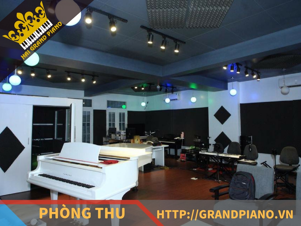 hai-grand-piano-nghe-si-15