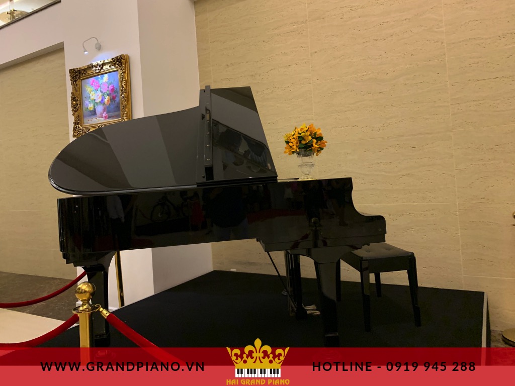 KHÔNG GIAN ĐỂ ĐÀN GRAND PIANO G3 YAMAHA | KS 5 SAO TÂN SƠN NHẤT 