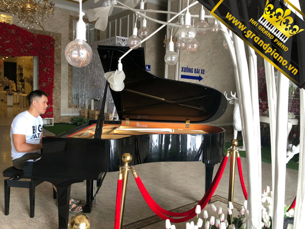 Kelvin Khánh- Grand Piano Yamaha C3 Biểu Diễn 