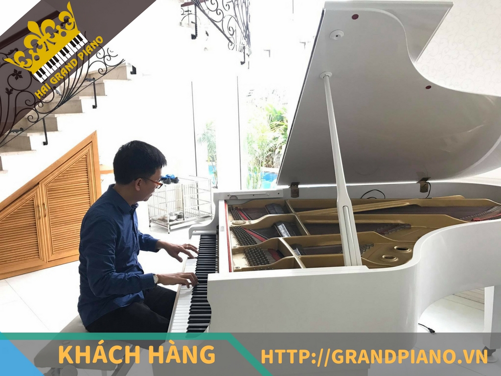 Lê Phước - Đàn Grand Piano Yamaha C5