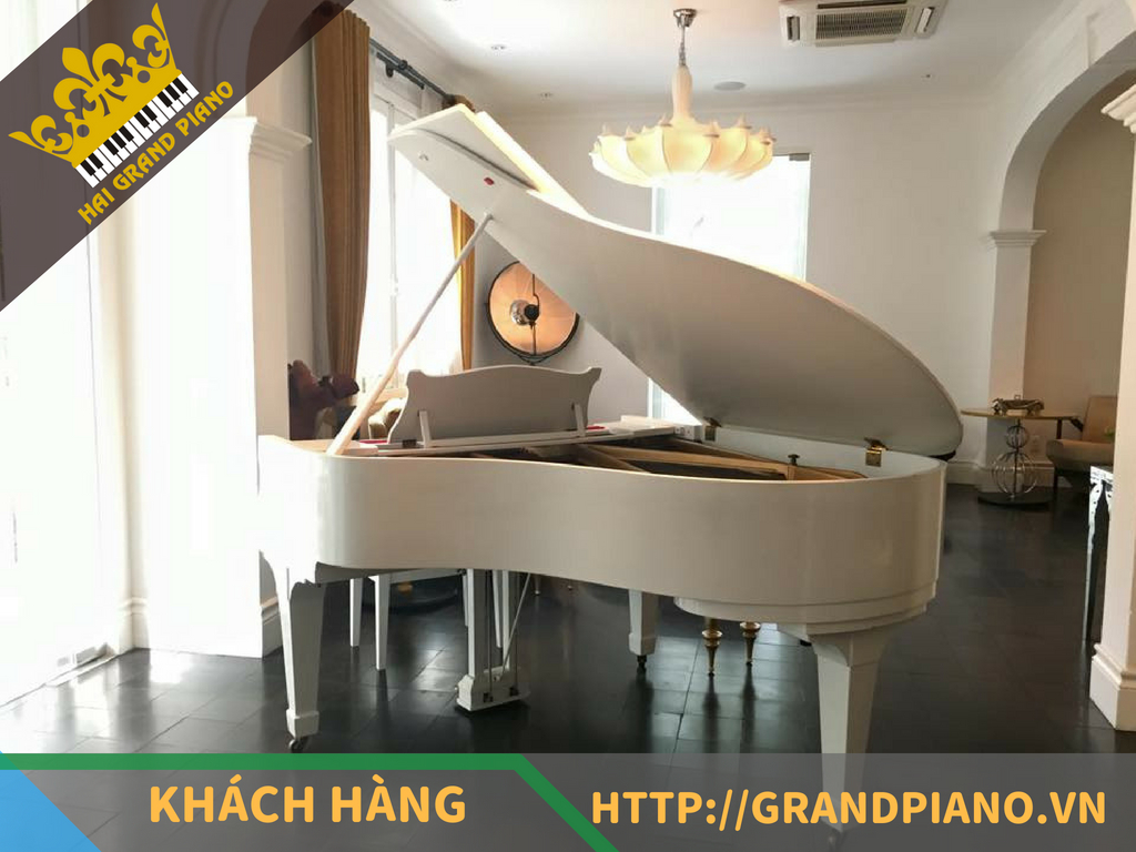 Lý Club - Đàn Grand Piano Kawai No.500 