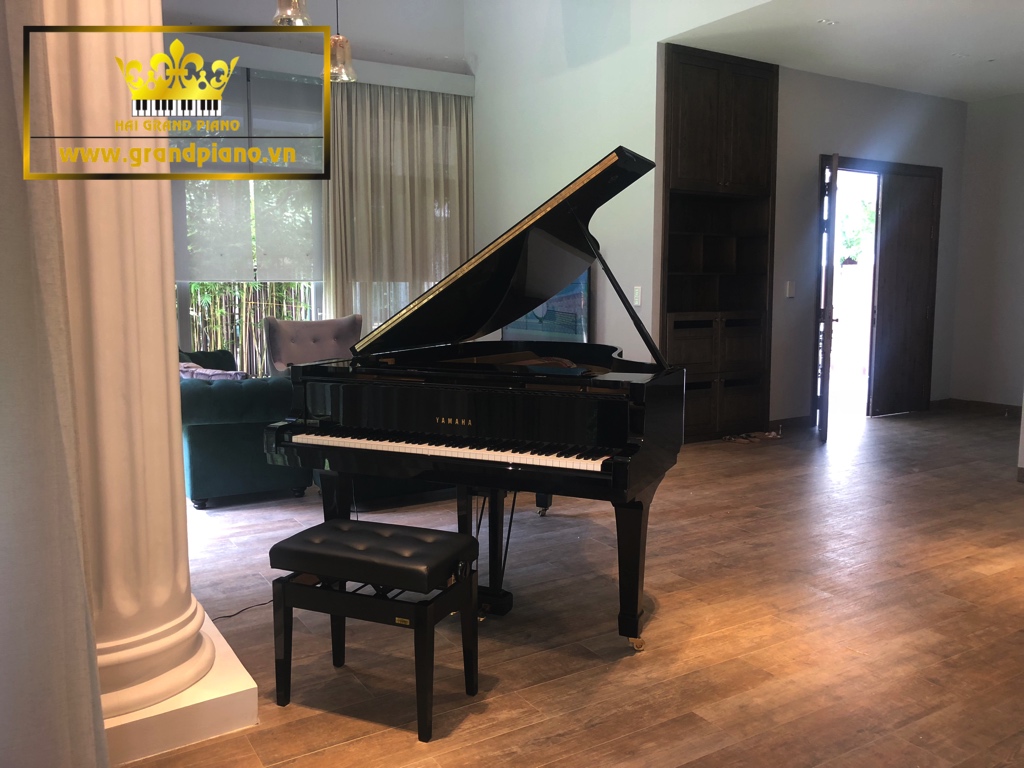 Grand-piano-g5e-minh-tien-1