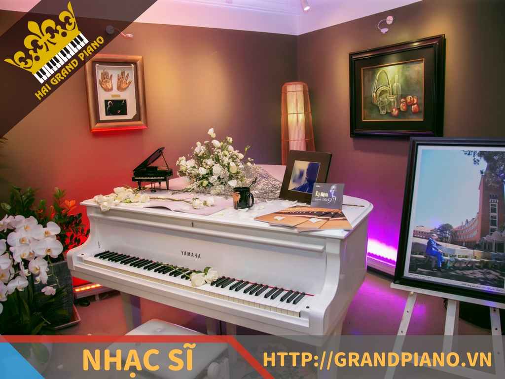 hai-grand-piano-nghe-si-21