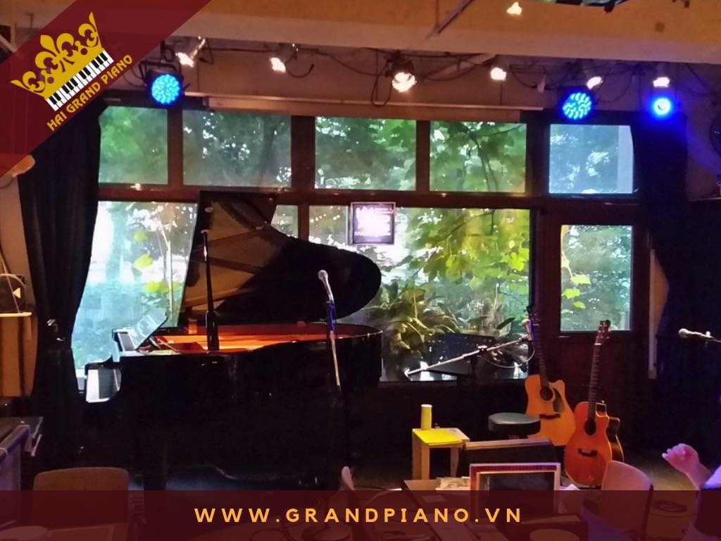 DAN GRAND PIANO_010