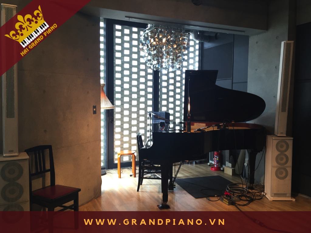 DAN-GRAND-PIANO_013