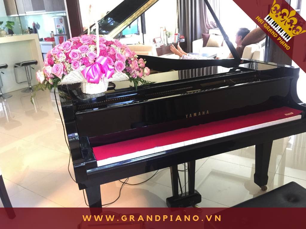 ĐƯỜNG THU HƯƠNG | KHÔNG GIAN ĐỂ ĐÀN GRAND PIANO YAMAHA C3