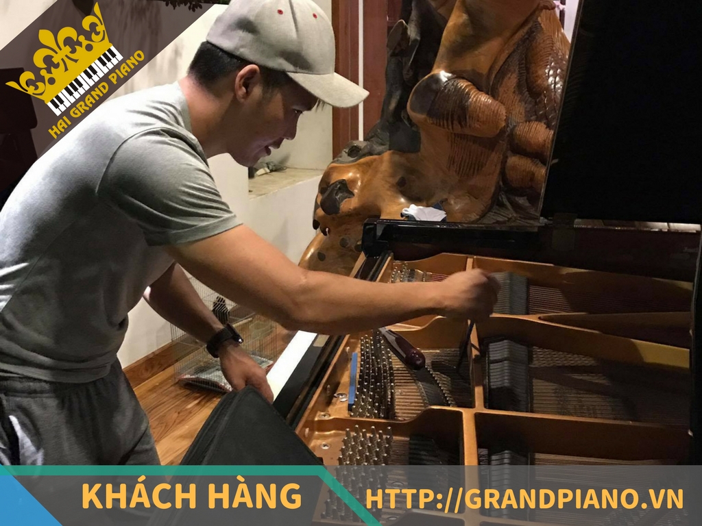 Quang Hiếu - Đàn Grand Piano Kawai RX-3 Biểu Diễn
