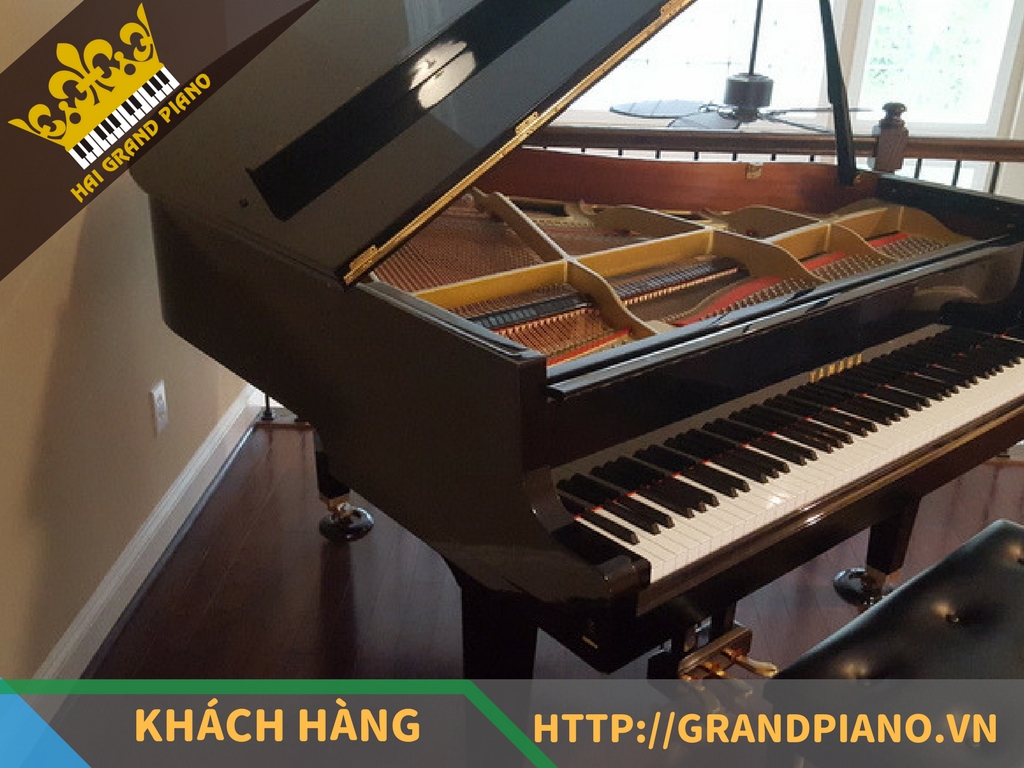 Thu Hồng - Đàn Grand Piano Yamaha G1B Baby