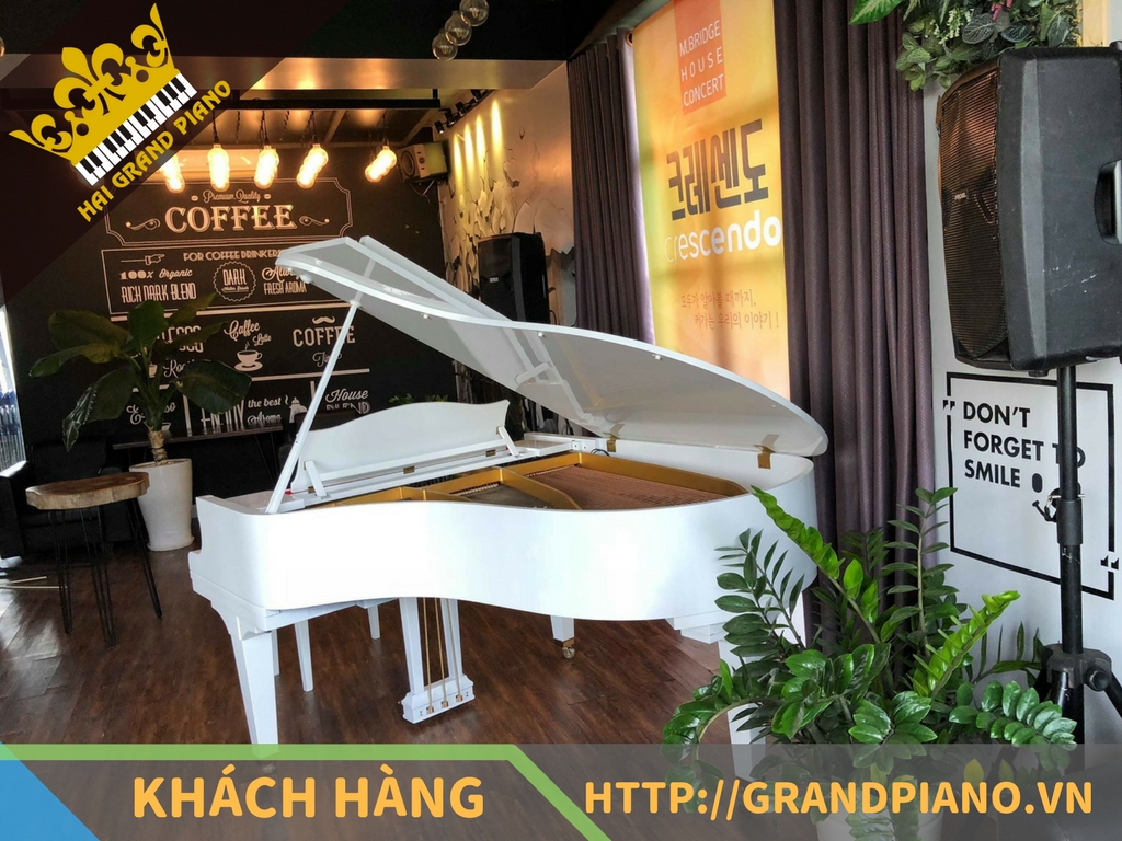 Time Coffee - Đàn Grand Piano Kawai KG-3 