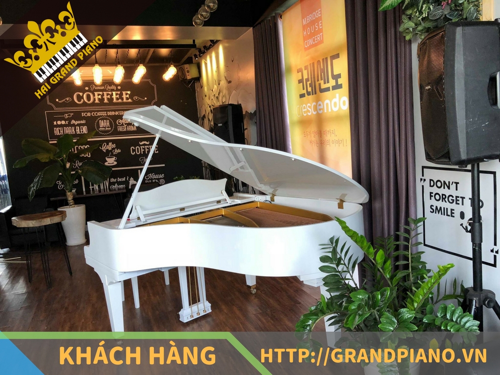 grand-piano-kg-3