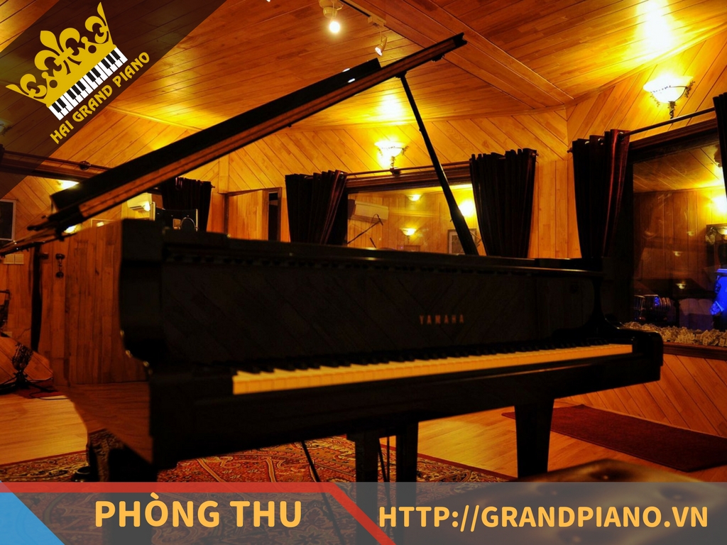 hai-grand-piano-nghe-si-25