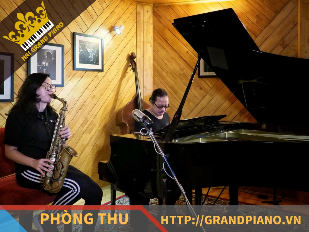 hai-grand-piano-nghe-si-26