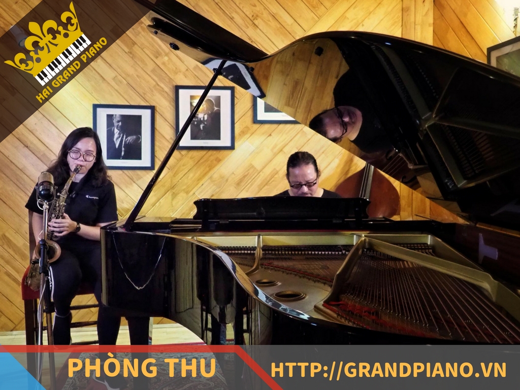 hai-grand-piano-nghe-si-27