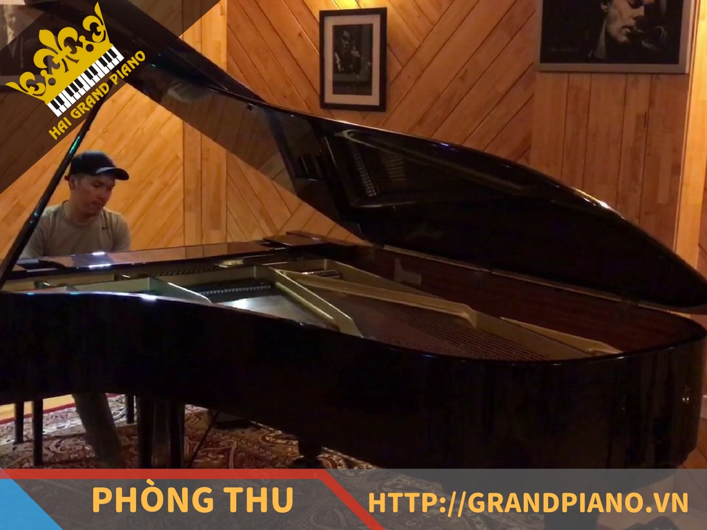 hai-grand-piano-nghe-si-28