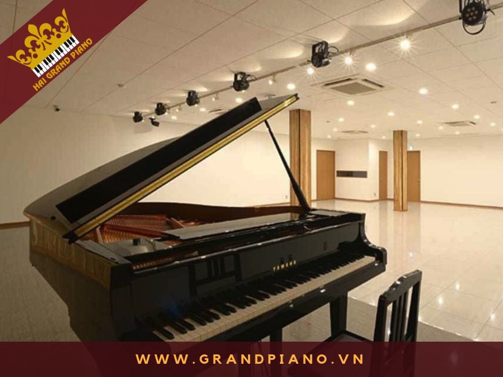 DAN-GRAND-PIANO_G3