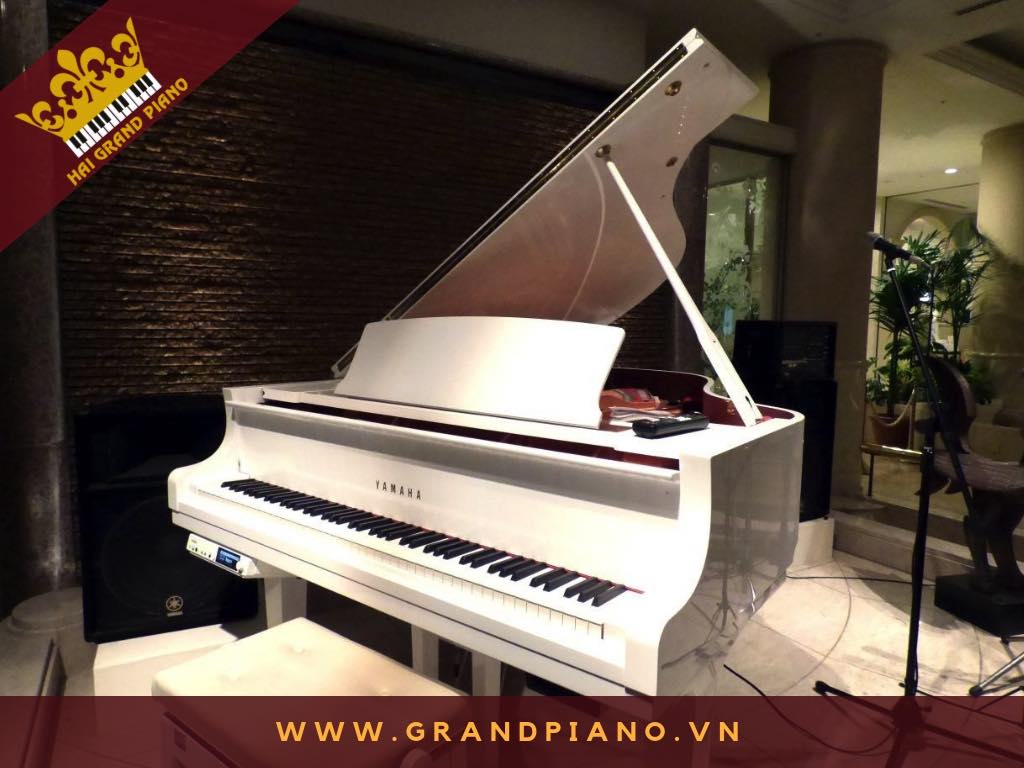 DAN-GRAND-PIANO_G5_WHITE