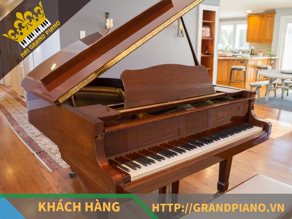 Văn Hậu - Đàn Piano Grand Yamaha G2B Cao Cấp