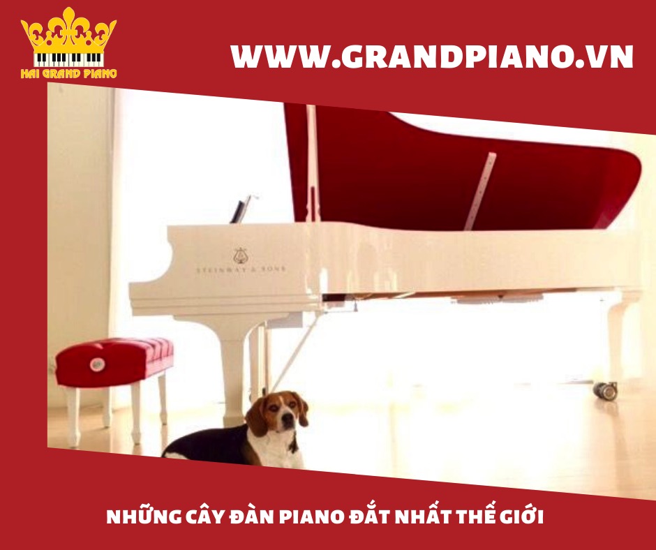 dan-piano-dat-nhat-the-gioi_002