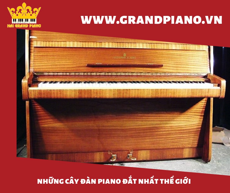 dan-piano-dat-nhat-the-gioi_003