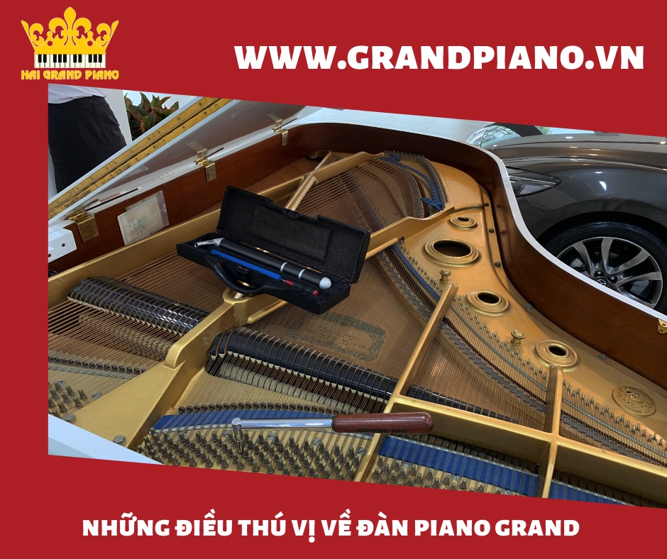 nhung-dieu-thu-vi-piano_001