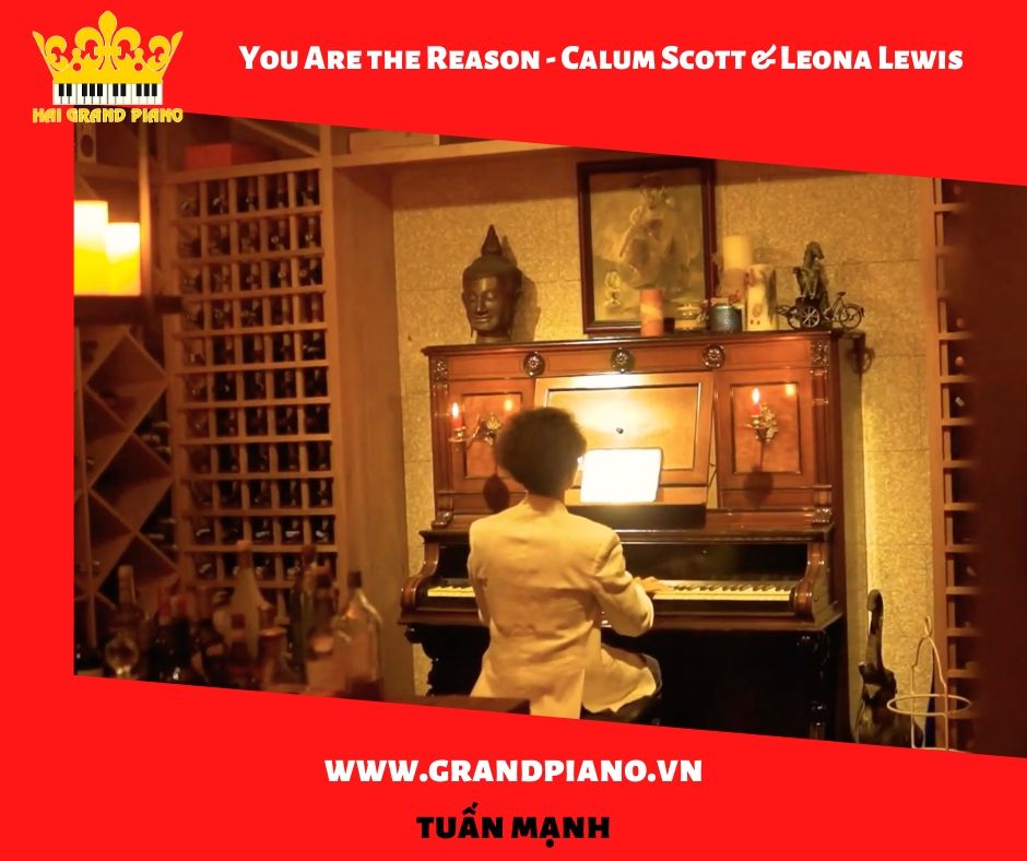 VIDEO - You Are the Reason - Calum Scott & Leona Lewis | TUẤN MẠNH 